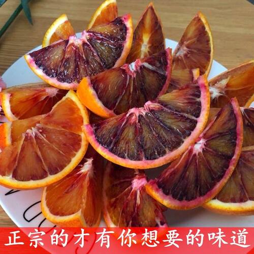 塔罗科血橙苗 嫁接血橙树嫁接塔罗科血橙柑橘嫁接苗塔罗科血橙8号