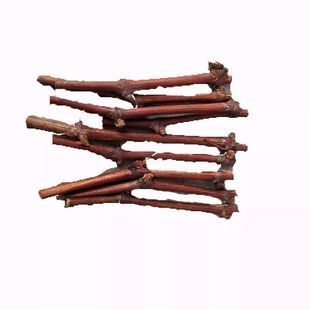 果树苗美国甜蜜蓝宝石葡萄嫁接枝条巨峰阳光玫瑰葡萄树苗扦插枝条