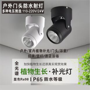 IP65户外防水射灯植物补光壁灯可调角度室外店铺广告牌匾明装吸顶