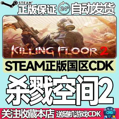 steam正版杀戮空间2国区key秒发