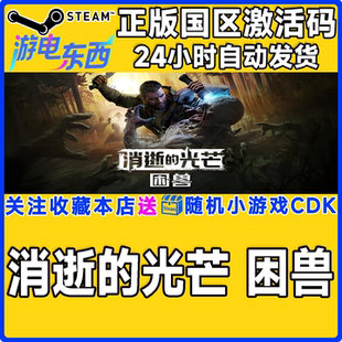 steam正版游戏 消逝的光芒困兽 Dying Light 国区激活码CDK