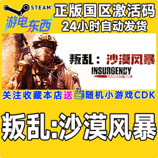 steam正版游戏 叛乱:沙漠风暴 Insurgency: Sandstorm 国区激活码