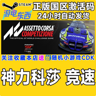 steam正版游戏 神力科莎竞速争锋Assetto Corsa Competizione CDK