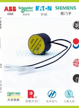 ABB VD4合闸线圈电磁铁 4641103C00V01 7004590 P0106 Y3 R/220V,