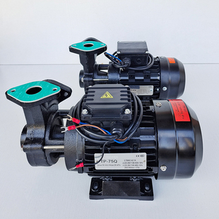 模温机油泵模具恒温机油泵 油温机泵 热水机循环泵模温机马达电机