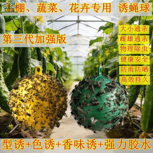 大棚菜地瓜果专用果蝇诱捕果实蝇球粘虫球诱蝇球针蜂果园果树诱虫