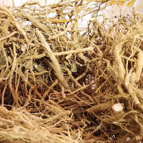 斑鸠叶,臭黄荆,豆腐柴----现挖树根3斤115元包邮