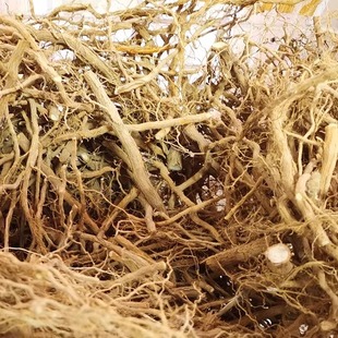 斑鸠叶、臭黄荆、豆腐柴----现挖树根3斤200元包邮