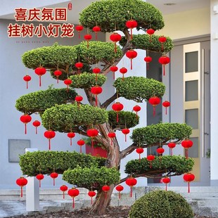挂树上的小灯笼春节氛围布置新年树挂红色植绒迷你绿植盆景小挂饰