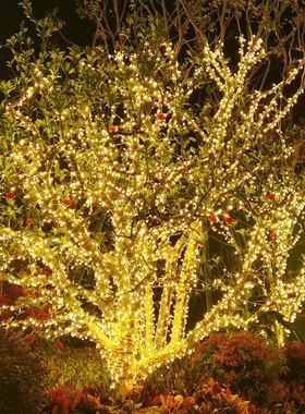 新年灯带户外树上挂灯过年彩灯太阳能闪灯串灯满天星室外树挂彩带