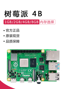 编程AI入门套件 树莓派4代B型 开发板 Raspberry