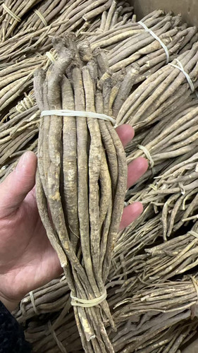 云南野生甜当归干当归500g 当归干货煲汤炖鸡
