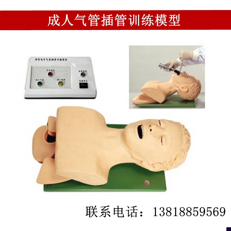 直销成人气管插管训练模型医学用插管技能教学模特电子Z人体上半