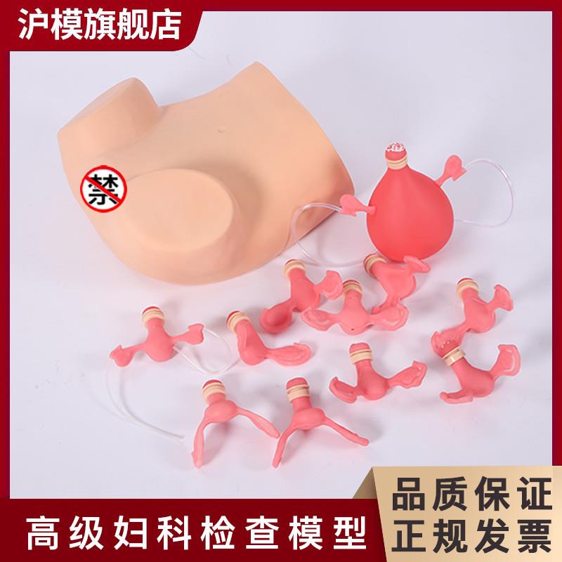沪模HM/F3妇科检查模型宫颈计划生育妇产科训练模具子宫放环取环
