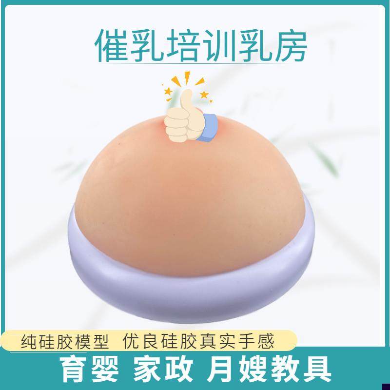 医院母乳喂养指导教具娃娃模型假B胸假乳房模型准妈妈产前练习宣