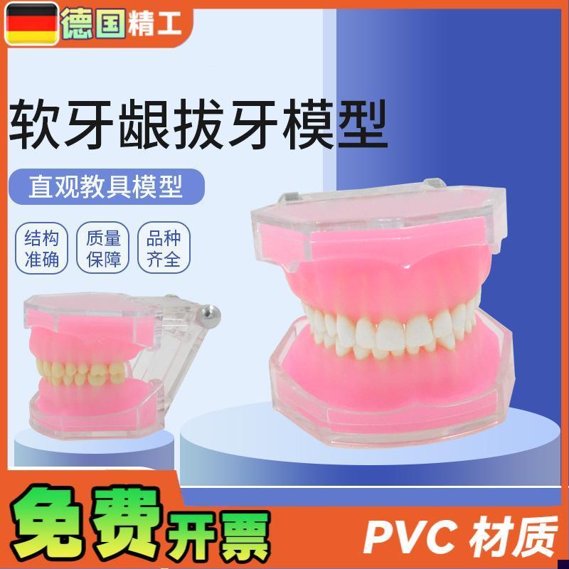 德国软牙龈拔牙模型牙科牙齿拔牙E模型全口可拆卸牙模型软牙龈