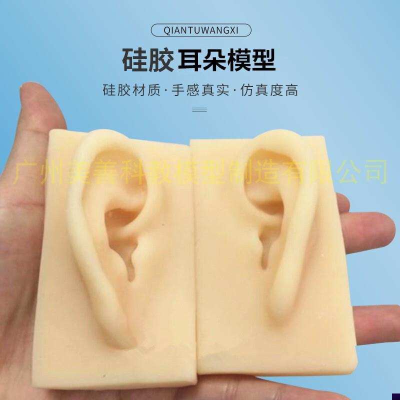 仿真耳朵模型耳模型硅胶耳朵针灸耳O朵成人11耳朵模型