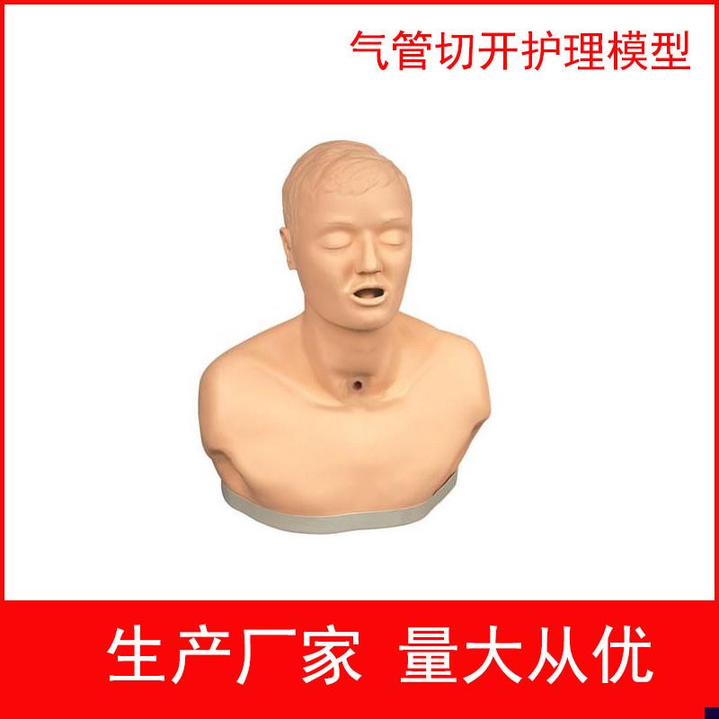成人气管切开护m理模型教学模型气管模型人体护理
