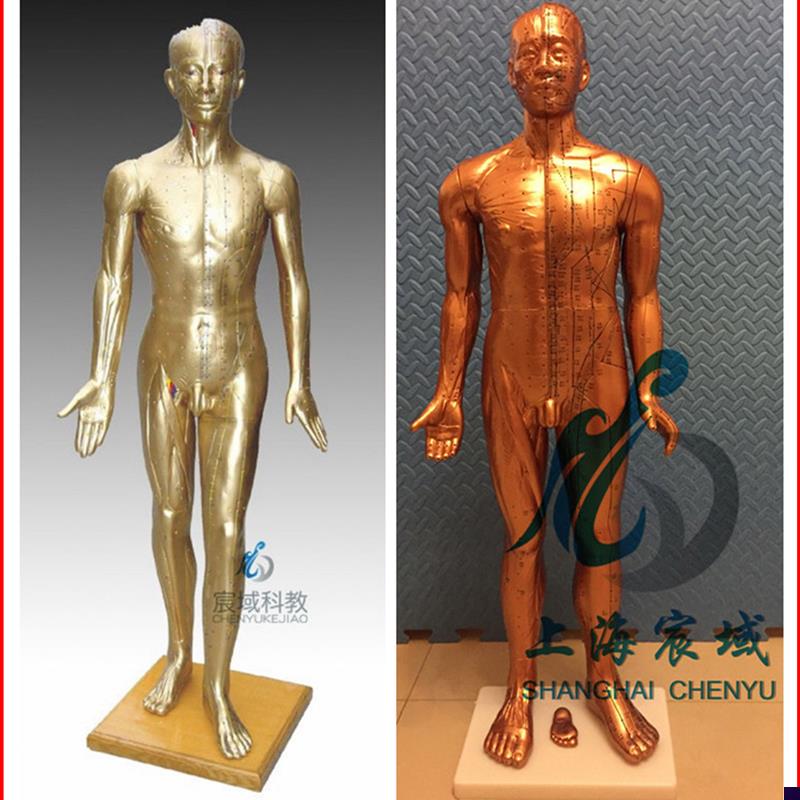 超清晰经络通针灸铜人x人体穴位模型中医针灸人模