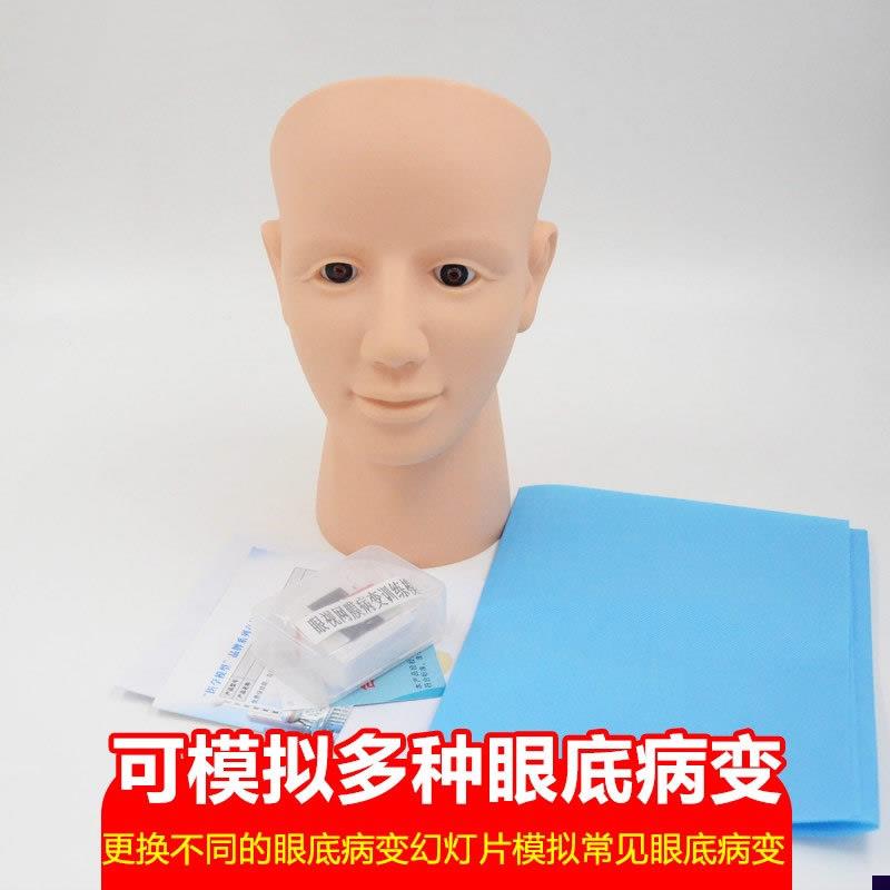 眼视网膜病变检i查模型眼底检查病变诊断技巧教具视网膜模型