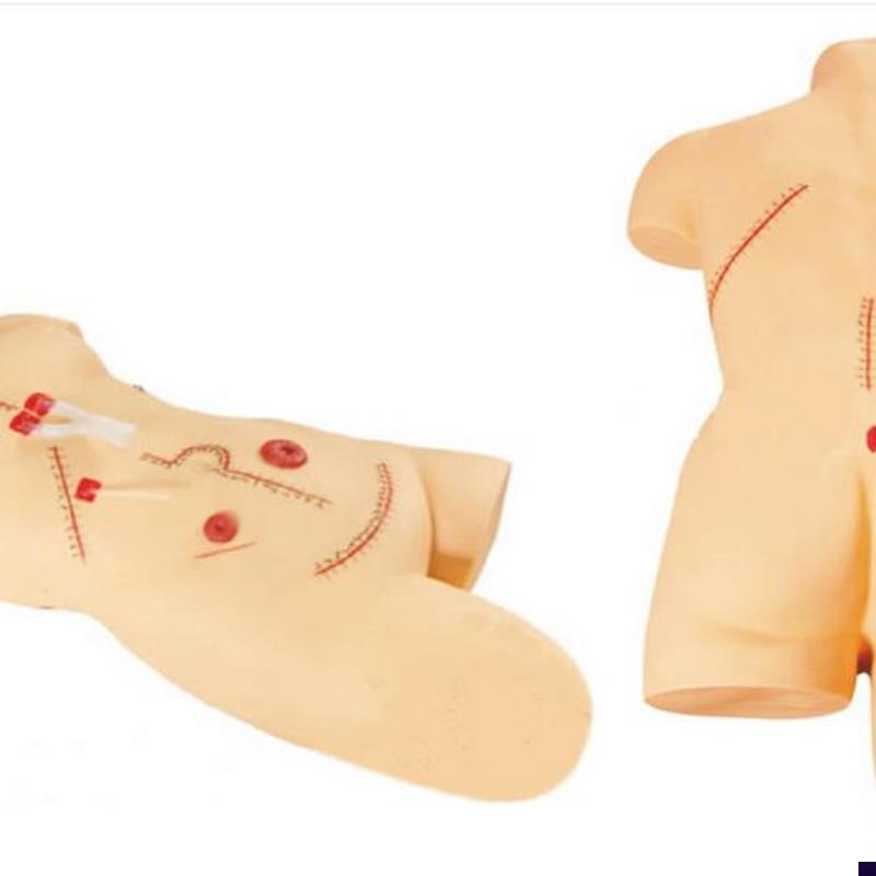外科缝合包扎展示w训练模型练习教学模具