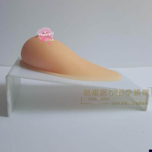 女性乳房纯硅胶乳房模型单个乳房哺乳模型催乳培训W模型催乳模型