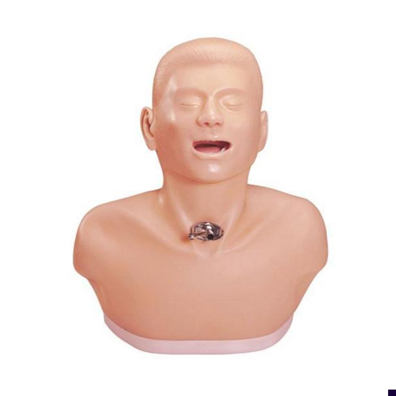 高级成人气管切开护理模s型气管切开护理操作模型教学模型医用模