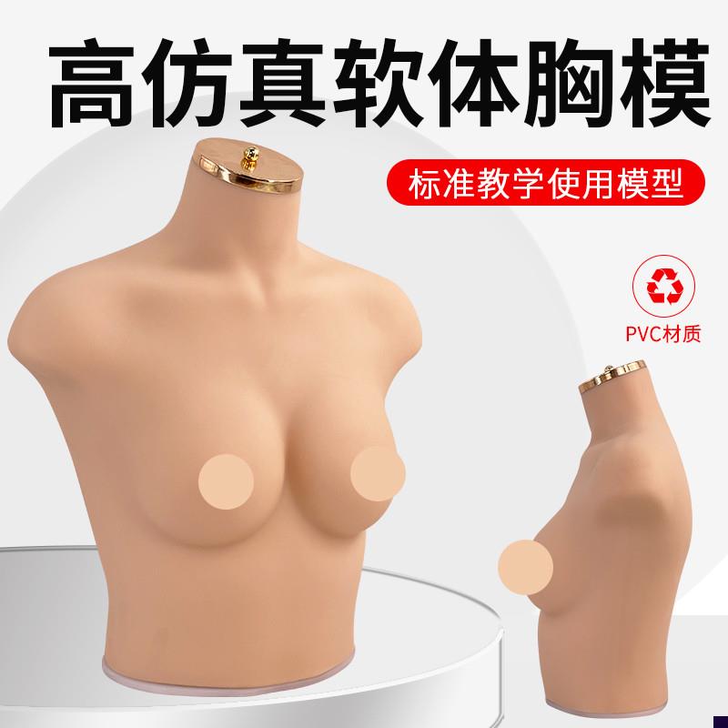 内衣文胸橱窗展示拍摄道具女半身硅胶软体仿真N人模特75B/C胸模