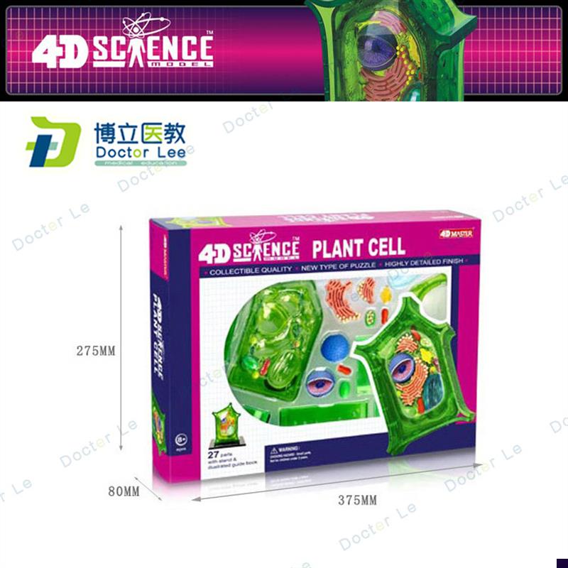 正品4Dmaster动物植物细胞模型儿童益智N玩具幼儿园科学实验教学
