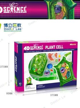 正品4Dmaster动物植物细胞模型儿童益智N玩具幼儿园科学实验教学
