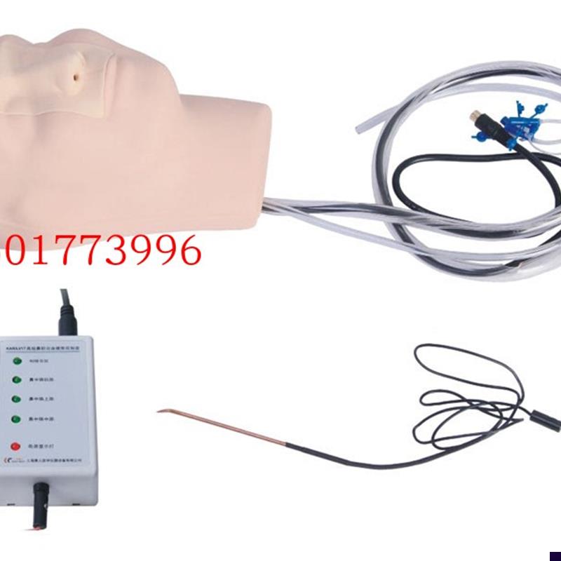 鼻腔出血训练模型护v士训练鼻腔止血法训练模型