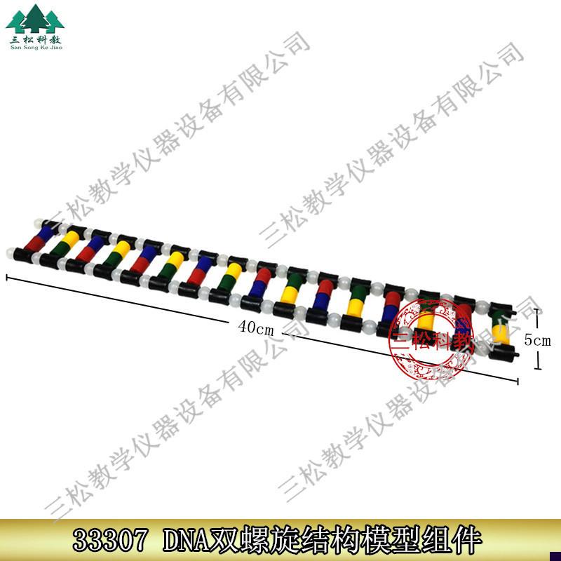 33307DNA双螺旋结构模型组件生F物实验演示DNA组成教学仪器
