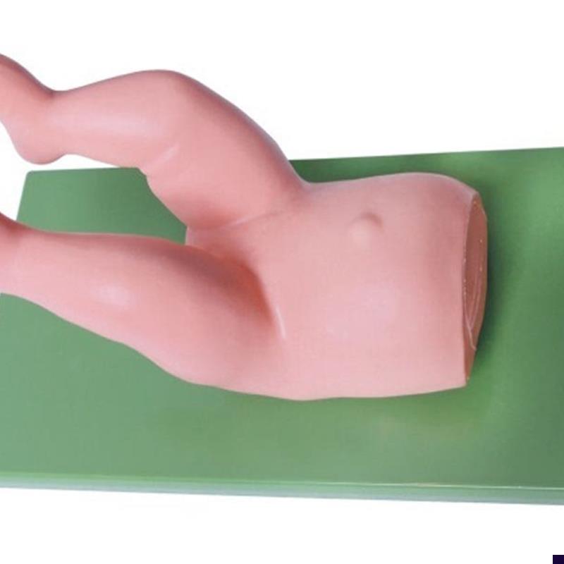 婴儿髋关节d复位模型婴儿髋关节复位操作模型婴儿髋关节模型