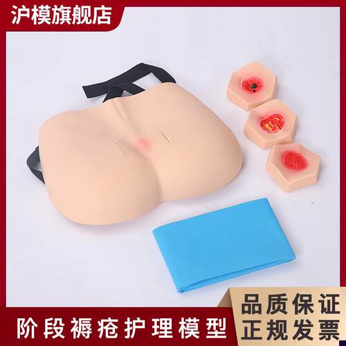 沪模HM/H90F阶段褥疮护理模型成人臀部褥疮护理模具压疮护理模T型