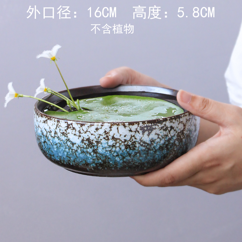 无孔水培花盆铜钱草花盆