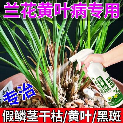 生根药水营养液兰花黄叶病专用药兰花黄叶焦尖叶面喷施植物活力素