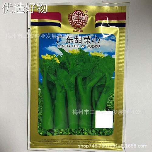 Wuzhou Brand Guangdong Sweet Cabbage Oil Green Cabbage Vege