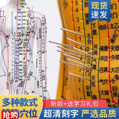 针灸穴位人体模型全身中医十二经络图铜人模特图可U扎针练习小皮