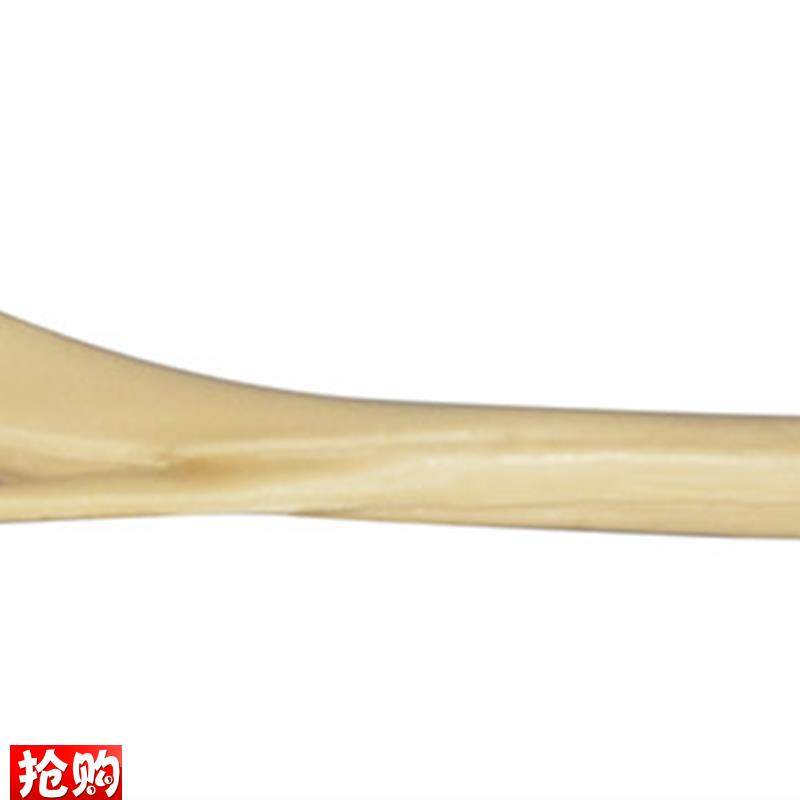 狗胫骨腓骨动物骨科手术演示练习C仿真骨练习宠物兽医PU发泡骨