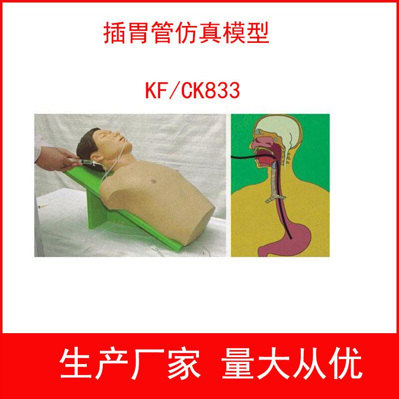 插胃管仿真模型胃灌洗q操作训练模型胃肠减压术胃液采集术模型