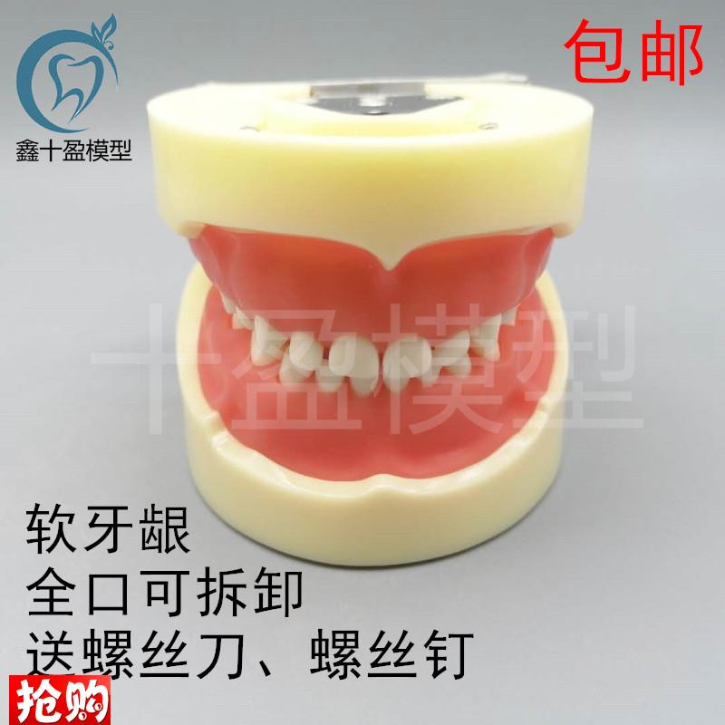牙科模型儿童全口24颗乳牙备牙x模型软牙龈乳牙可拆卸模型7014-9