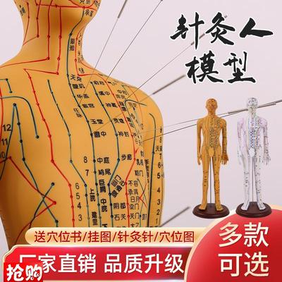 中医针灸穴位模型图全身家用十二经C络人体硅胶模型可扎针小铜皮