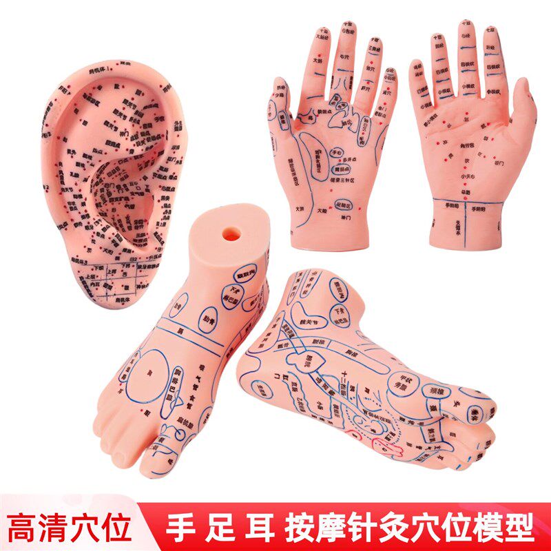 手足针灸艾灸穴位足模脚部按摩反射区手膜穴位模特U经络通足疗模