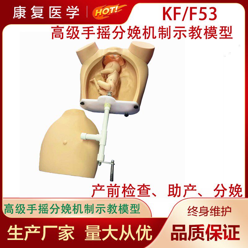 高级手摇分娩机制示教模型 医学用练习模具机转模Y拟教学器材