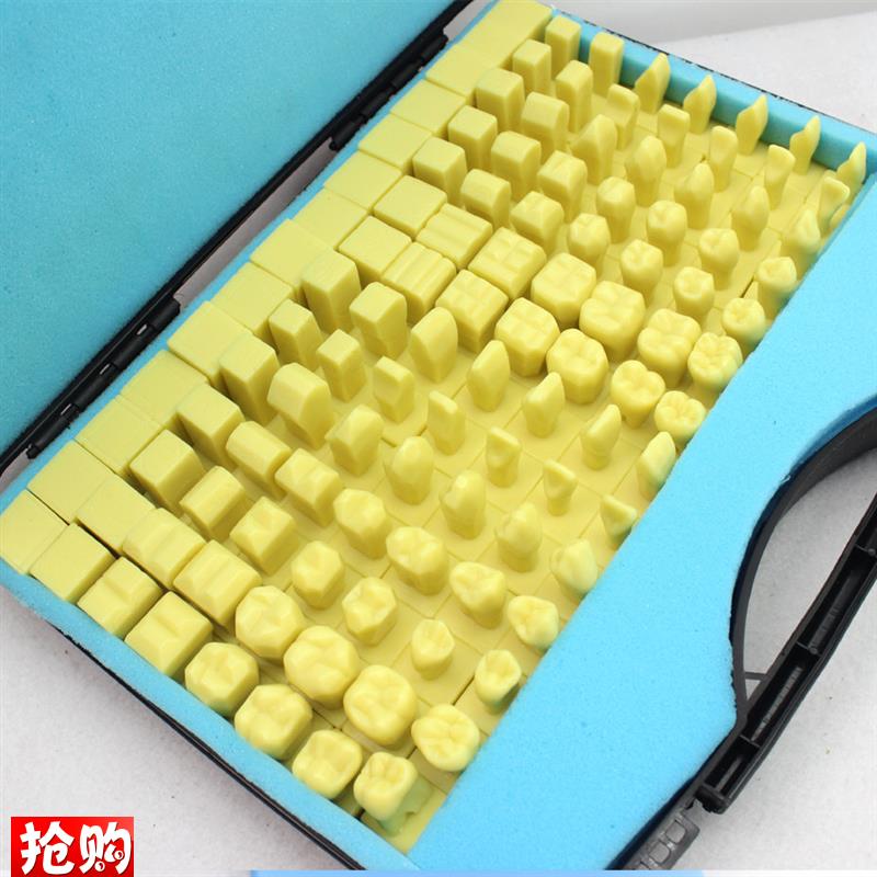 ENOVO颐诺全口牙雕牙练习w指导模型雕牙步骤口腔科牙医齿科模型口