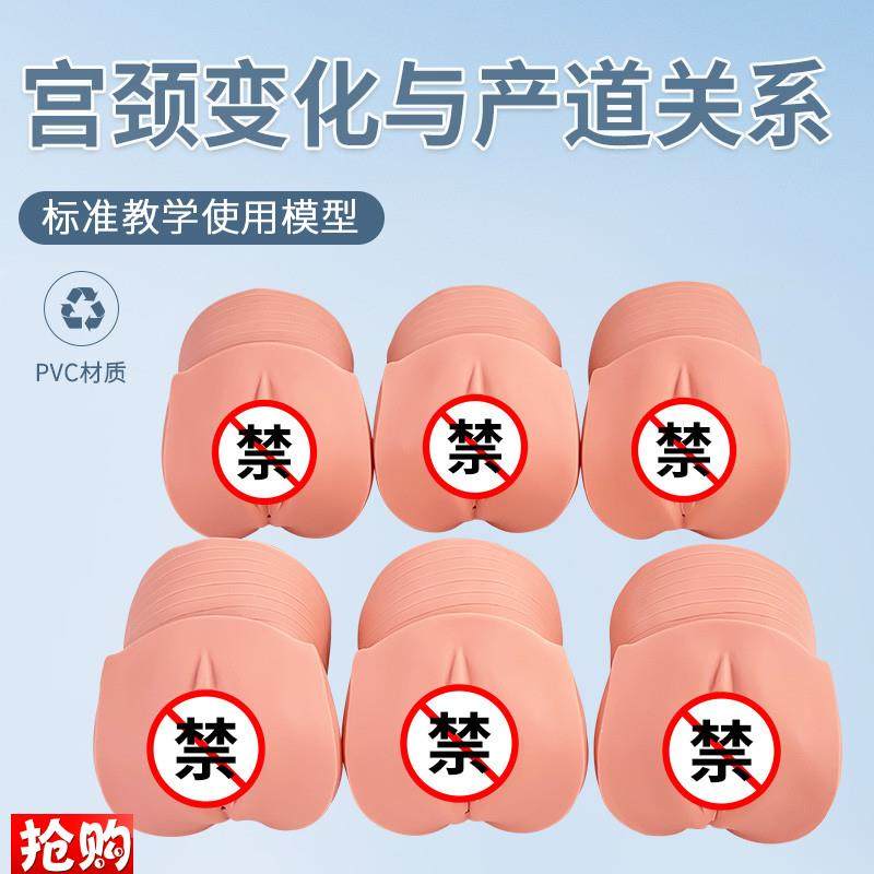 产前宫颈变化与产m道关系模型妇科检查计划生育医学示教模型