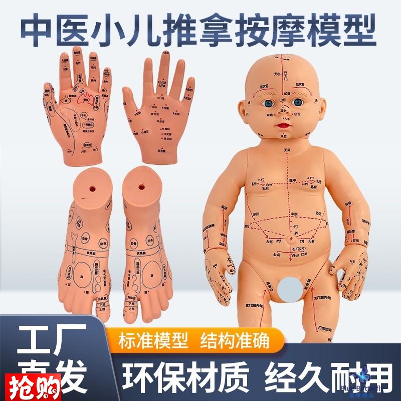 小孩推拿a按摩婴儿穴位宝宝模型50cm娃娃带穴位针灸图医馆手法练