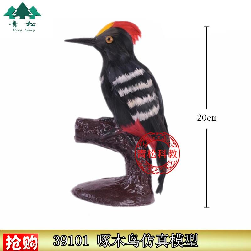 39101啄木鸟仿真模型自然大用羽毛制作小M学科学生物标本静态模型