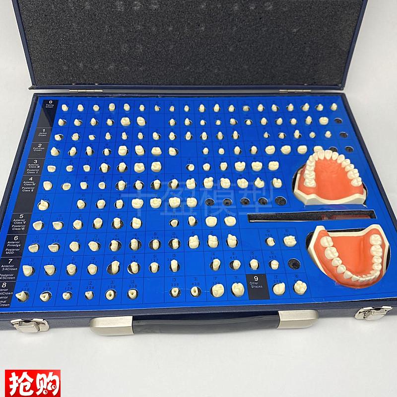 口腔齿科备牙模型牙体制r备窝洞义齿加工模型技工牙体预备展示模