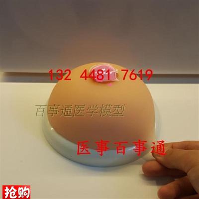 催乳师乳房模型假胸妇幼保健院C护士培训教具乳房母乳喂养宣传